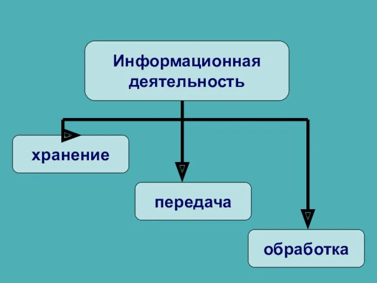 Информационная деятельность хранение передача обработка