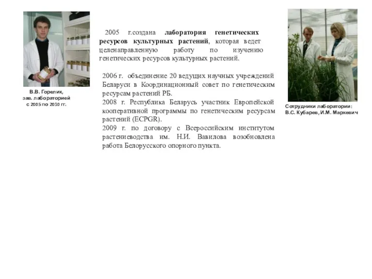 В.В. Горелик, зав. лабораторией с 2005 по 2010 гг. 2005