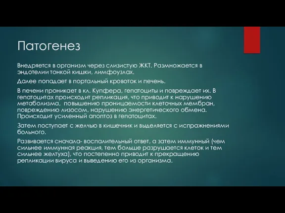 Патогенез Внедряется в организм через слизистую ЖКТ. Размножается в эндотелии