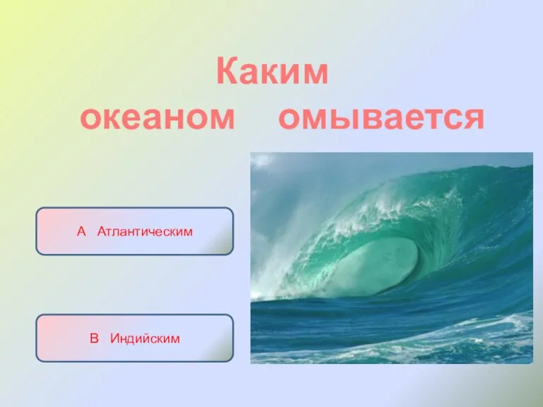 Каким океаном омывается А Атлантическим Б Тихим В Индийским Г Северным Ледовитым