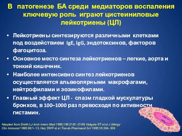 В патогенезе БА среди медиаторов воспаления ключевую роль играют цистеиниловые