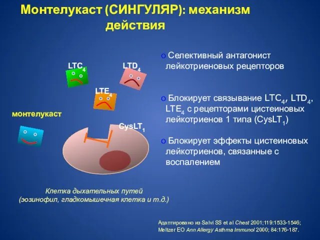 Монтелукаст (СИНГУЛЯР): механизм действия Клетка дыхательных путей (эозинофил, гладкомышечная клетка