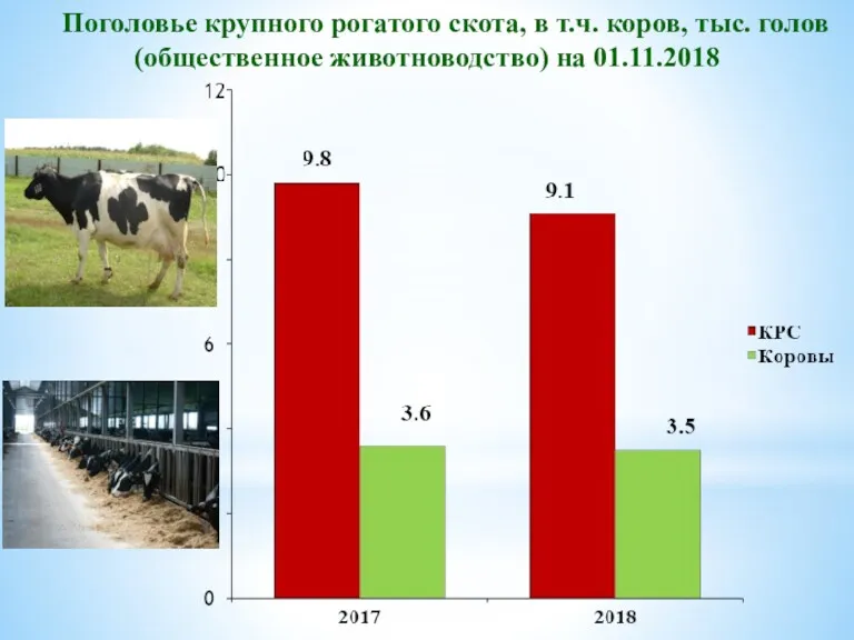 Поголовье крупного рогатого скота, в т.ч. коров, тыс. голов (общественное животноводство) на 01.11.2018