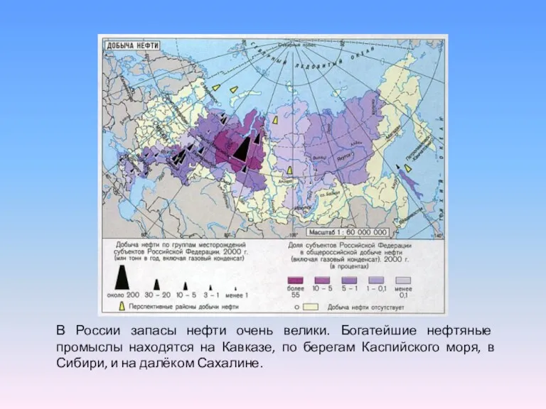 В России запасы нефти очень велики. Богатейшие нефтяные промыслы находятся