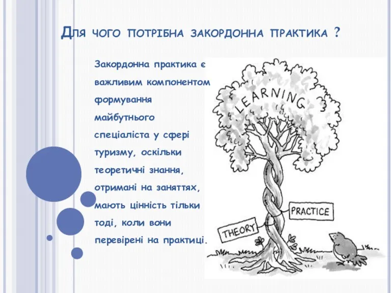 Для чого потрібна закордонна практика ? Закордонна практика є важливим