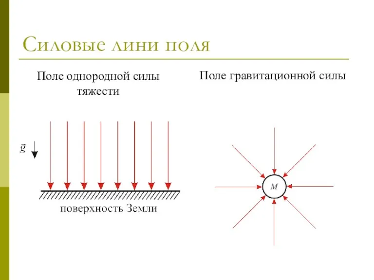 Силовые лини поля Поле однородной силы тяжести Поле гравитационной силы