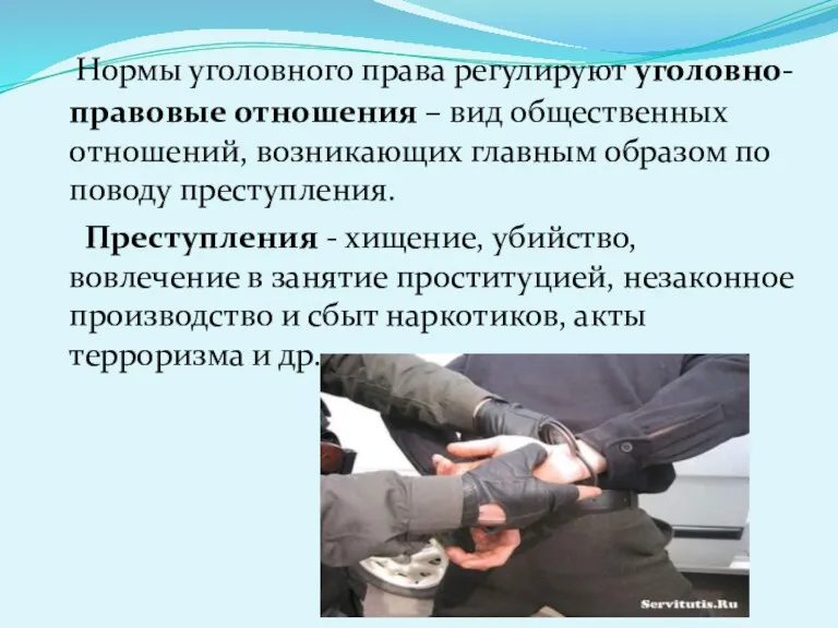 Нормы уголовного права регулируют уголовно-правовые отношения – вид общественных отношений,