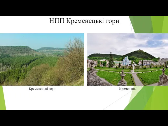 НПП Кременецькі гори Кременець Кременецькі гори