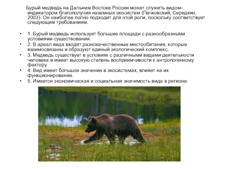 Бурый медведь на Дальнем Востоке России может служить видом-индикатором благополучия