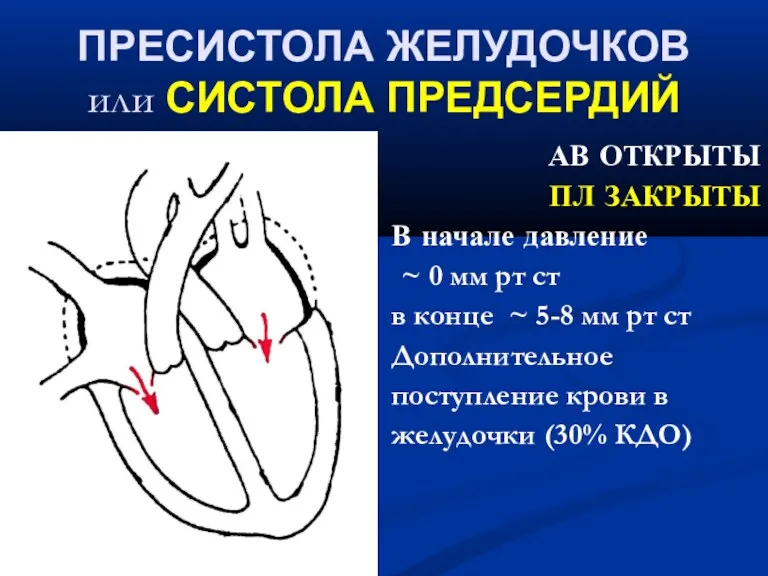 ‏ ПРЕСИСТОЛА ЖЕЛУДОЧКОВ или СИСТОЛА ПРЕДСЕРДИЙ АВ ОТКРЫТЫ ПЛ ЗАКРЫТЫ