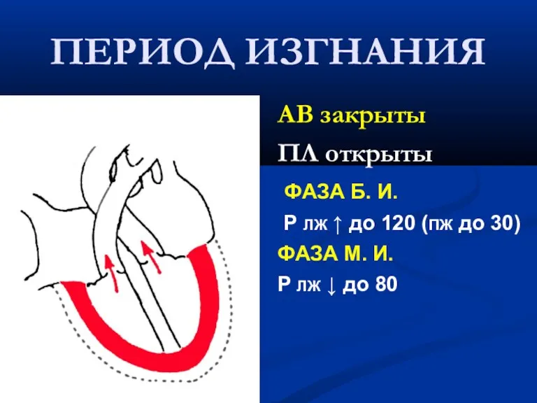 ПЕРИОД ИЗГНАНИЯ АВ закрыты ПЛ открыты ФАЗА Б. И. Р