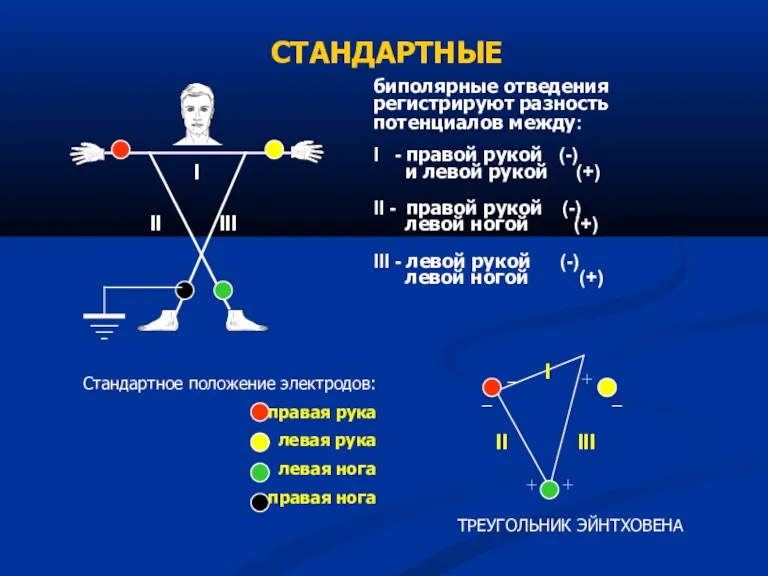 биполярные отведения регистрируют разность потенциалов между: I - правой рукой