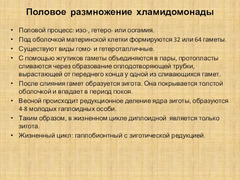 Половое размножение хламидомонады Половой процесс: изо-, гетеро- или оогамия. Под