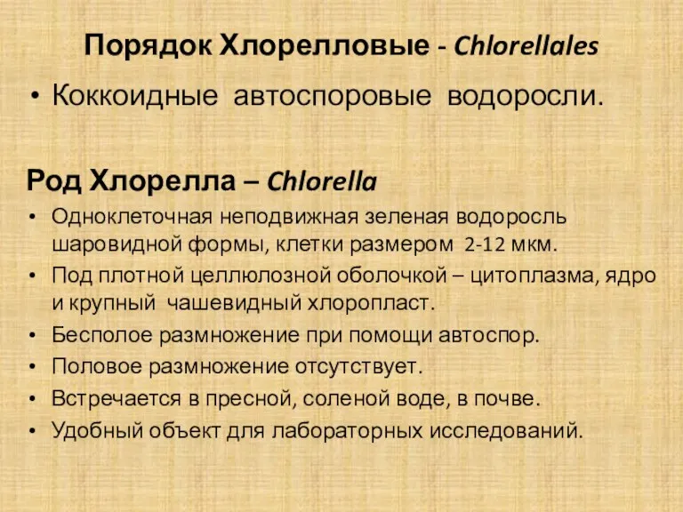 Порядок Хлорелловые - Chlorellales Коккоидные автоспоровые водоросли. Род Хлорелла –