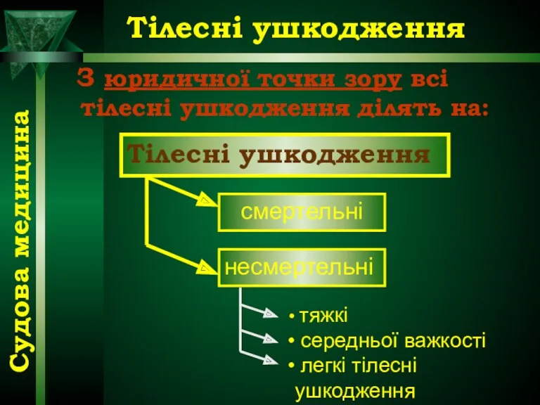 Тілесні ушкодження З юридичної точки зору всі тілесні ушкодження ділять на: смертельні несмертельні