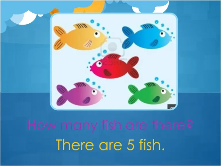 There are 5 fish. How many fish are there?