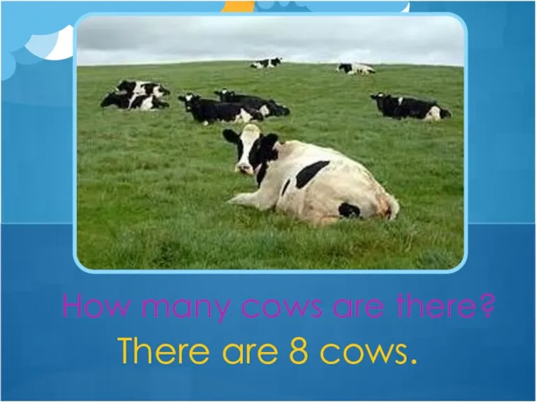 There are 8 cows. How many cows are there?