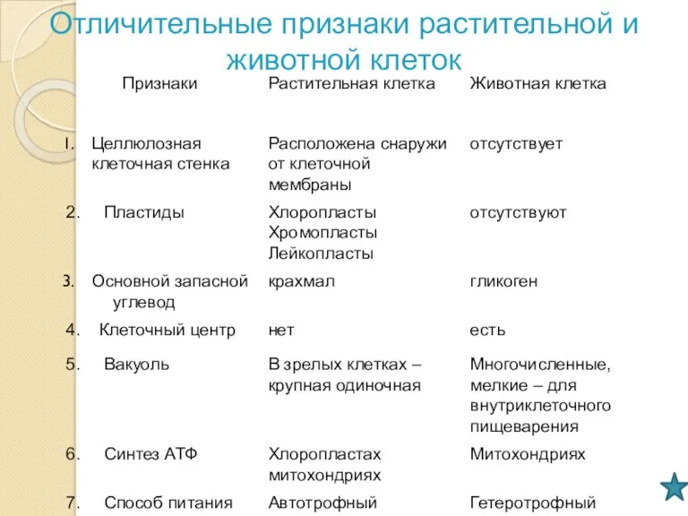 Отличительные признаки растительной и животной клеток