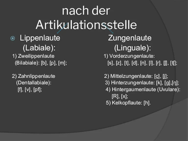 nach der Artikulationsstelle Lippenlaute Zungenlaute (Labiale): (Linguale): 1) Zweilippenlaute 1)