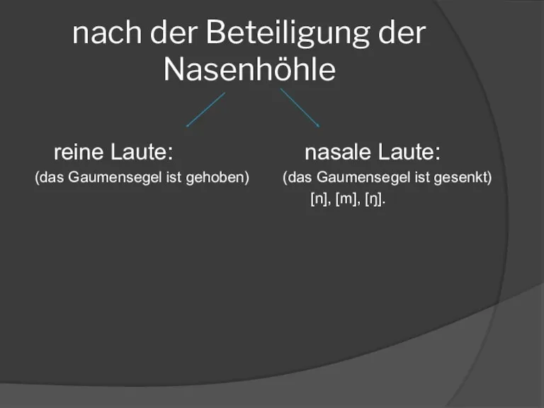 nach der Beteiligung der Nasenhöhle reine Laute: nasale Laute: (das