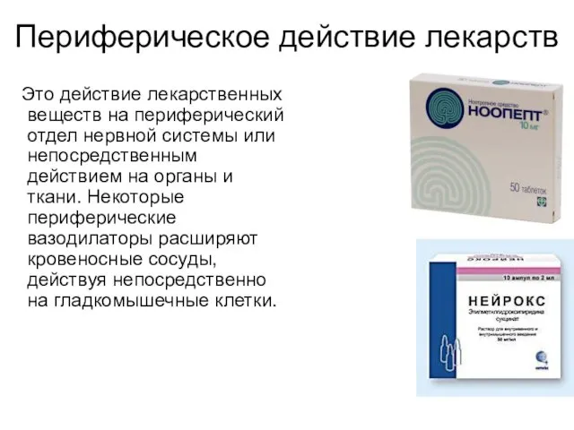 Периферическое действие лекарств Это действие лекарственных веществ на периферический отдел