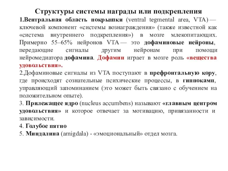 Структуры системы награды или подкрепления 1.Вентральная область покрышки (ventral tegmental