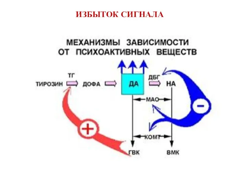 ИЗБЫТОК СИГНАЛА