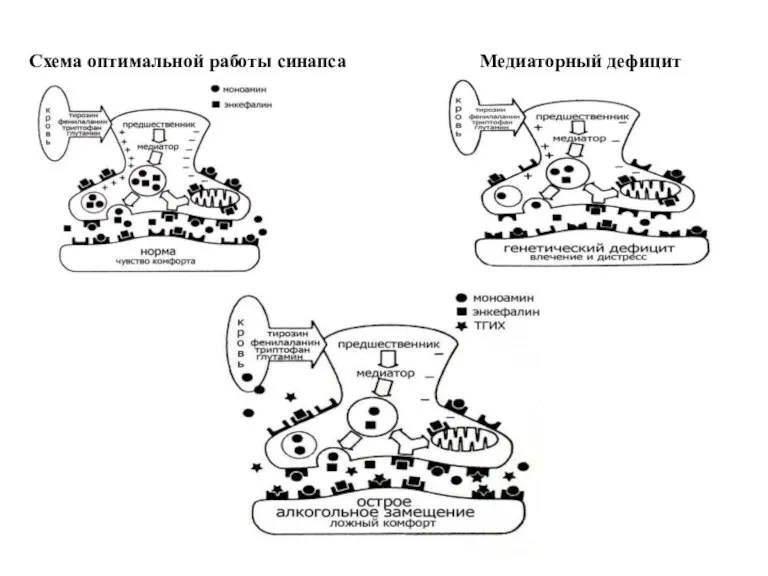 Схема оптимальной работы синапса Медиаторный дефицит