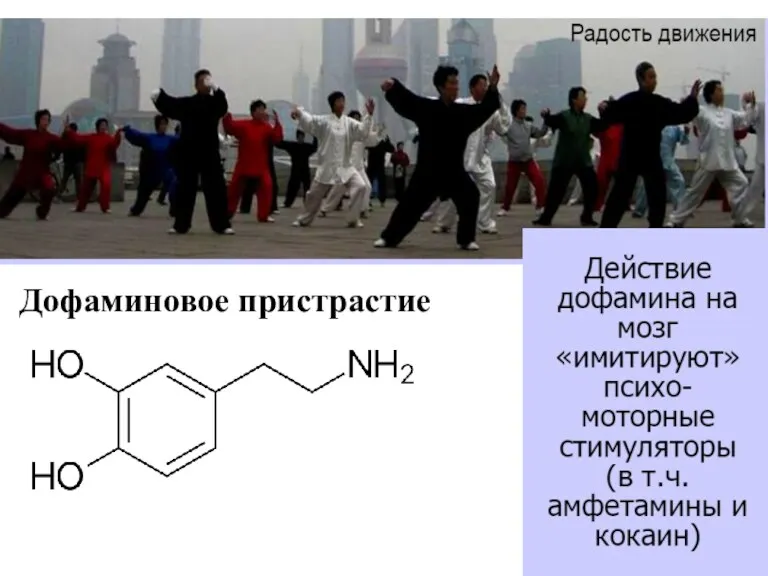 Дофаминовое пристрастие