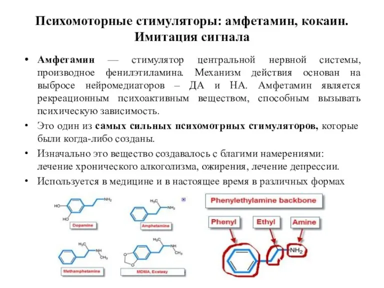 Психомоторные стимуляторы: амфетамин, кокаин. Имитация сигнала Амфетамин — стимулятор центральной