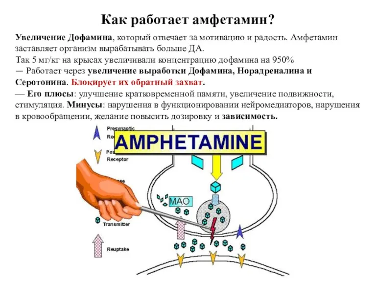 Как работает амфетамин? Увеличение Дофамина, который отвечает за мотивацию и