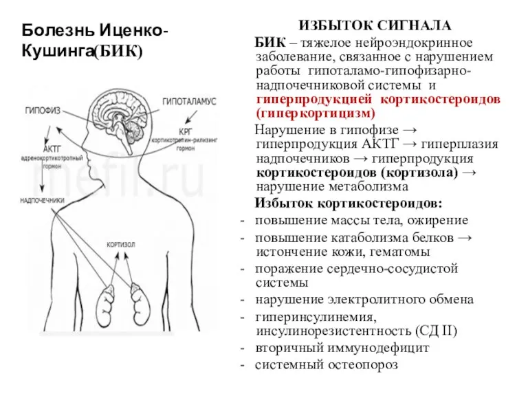 Гипоталамо-гипофизарно-надпочечниковая ось Болезнь Иценко-Кушинга (БИК) ИЗБЫТОК СИГНАЛА БИК – тяжелое