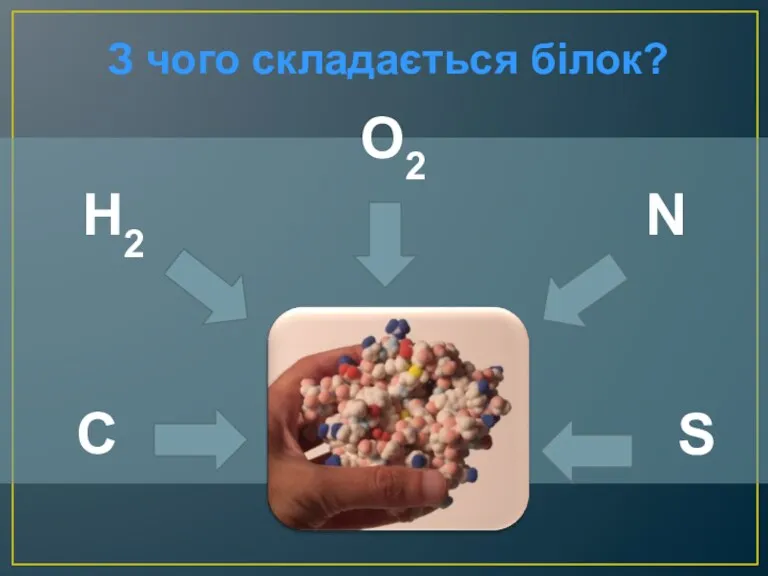 З чого складається білок? O2 N C H2 S