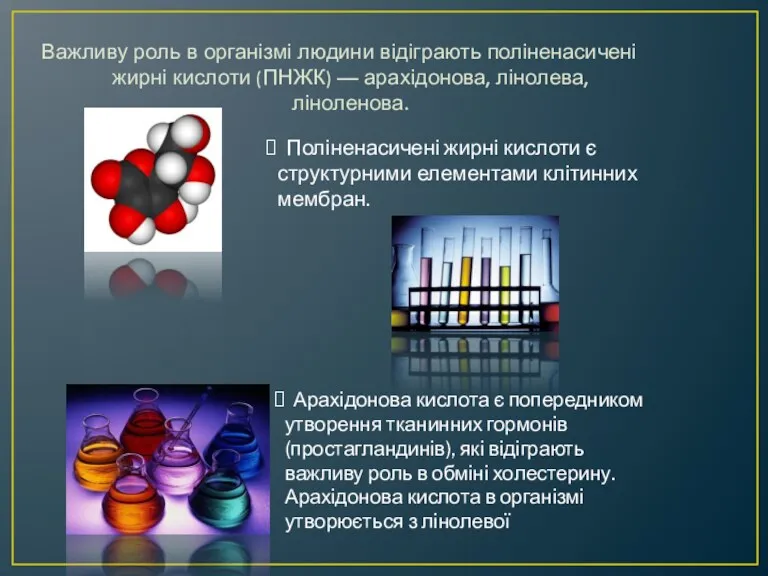 Важливу роль в організмі людини відіграють поліненасичені жирні кислоти (ПНЖК)