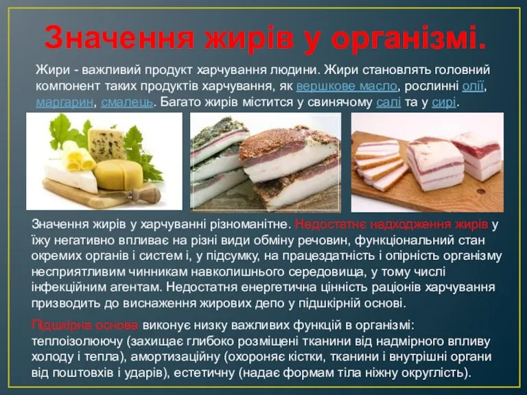 Значення жирів у організмі. Жири - важливий продукт харчування людини.