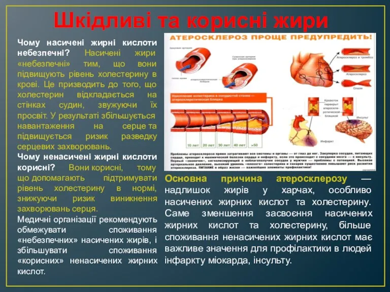 Шкідливі та корисні жири Чому насичені жирні кислоти небезпечні? Насичені