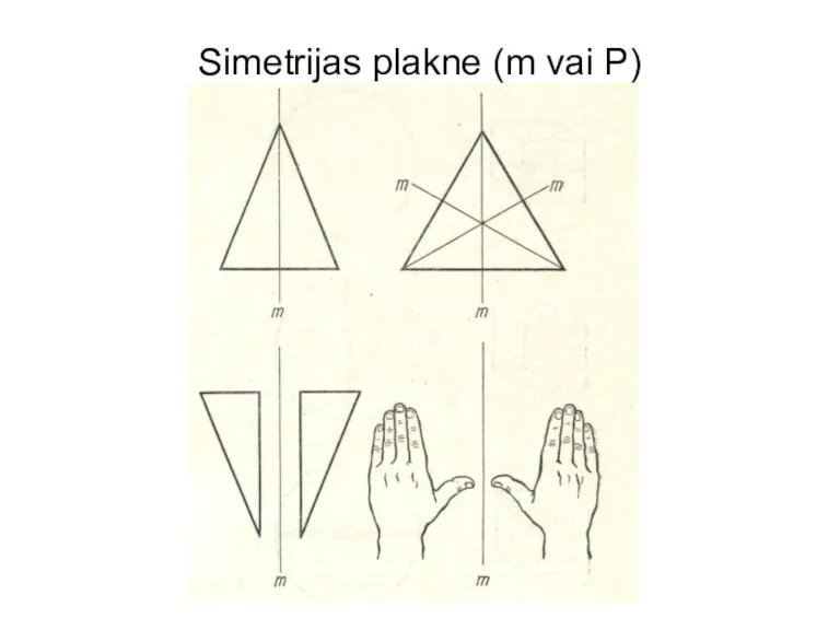 Simetrijas plakne (m vai P)