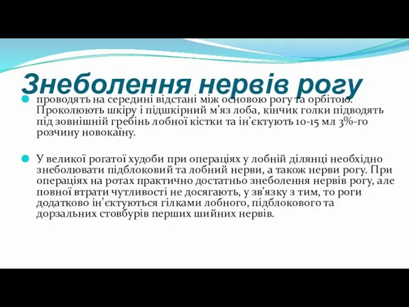 Знеболення нервів рогу проводять на середині відстані між основою рогу