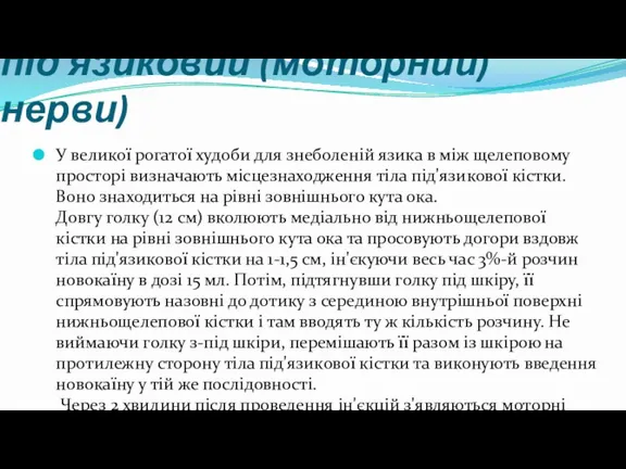 (язиковий (чутливий) та під'язиковий (моторний) нерви) У великої рогатої худоби