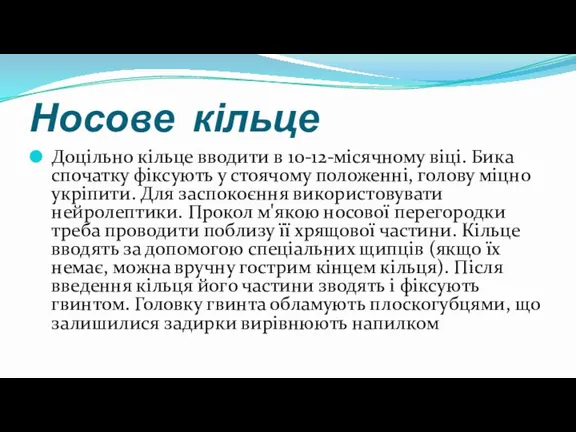 Носове кільце Доцільно кільце вводити в 10-12-місячному віці. Бика спочатку