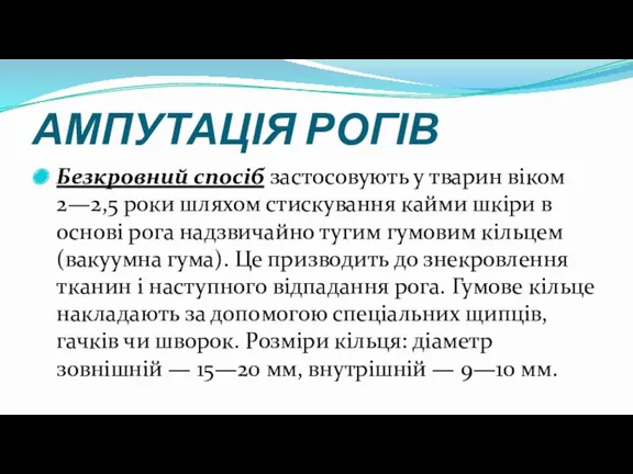 АМПУТАЦІЯ РОГІВ Безкровний спосіб застосовують у тварин віком 2—2,5 роки