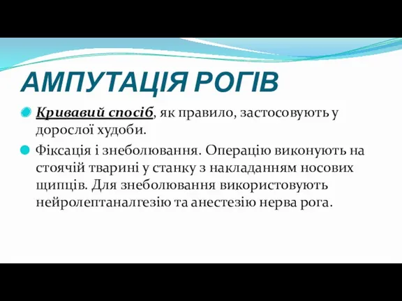 АМПУТАЦІЯ РОГІВ Кривавий спосіб, як правило, застосовують у дорослої худоби.