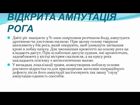 ВІДКРИТА АМПУТАЦІЯ РОГА Двічі ріг змазують 5 %-ним спиртовим розчином