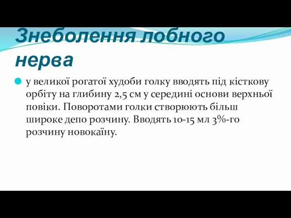 Знеболення лобного нерва у великої рогатої худоби голку вводять під