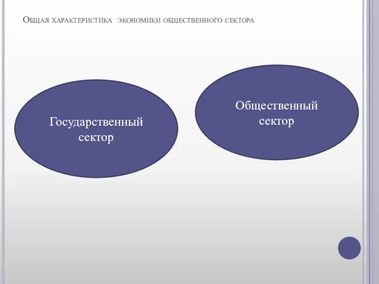 Общая характеристика экономики общественного сектора Государственный сектор Общественный сектор