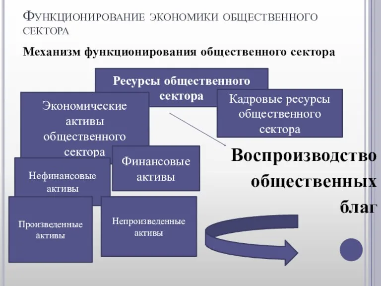 Функционирование экономики общественного сектора Механизм функционирования общественного сектора Воспроизводство общественных