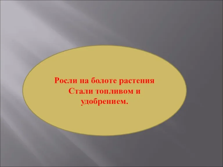 Росли на болоте растения Стали топливом и удобрением.