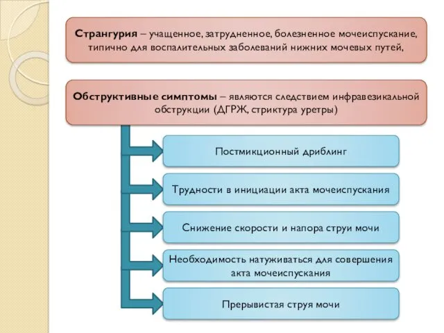 Странгурия – учащенное, затрудненное, болезненное мочеиспускание, типично для воспалительных заболеваний