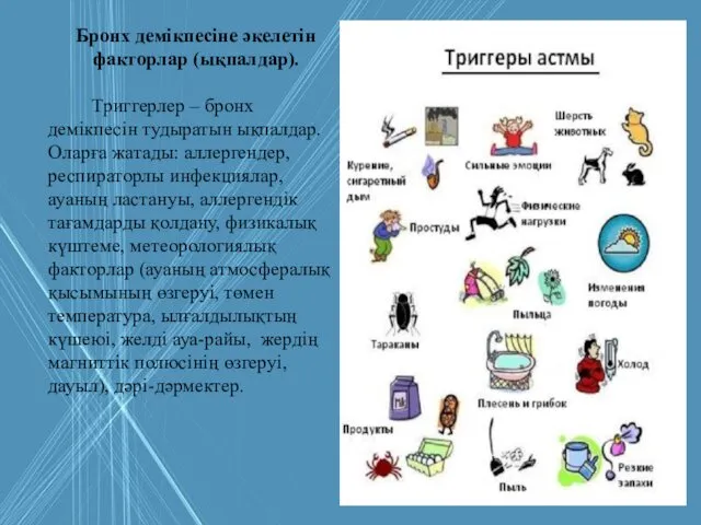 Бронх демікпесіне әкелетін факторлар (ықпалдар). Триггерлер – бронх демікпесін тудыратын