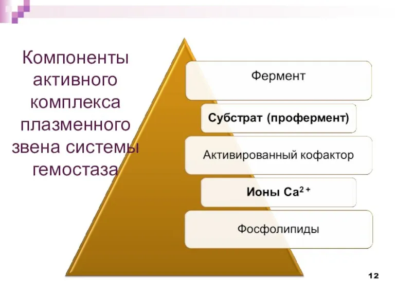 Компоненты активного комплекса плазменного звена системы гемостаза